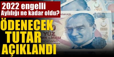 Engelli maaşları belirlendi! Tüm Engellilerin maaşı işte şu şekilde artıyor!