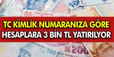 Müjde TC kimlik numarasına göre 3000 TL hesaplara yatırılıyor! Hesaplarınızı kontrol etmeyi unutmayın...