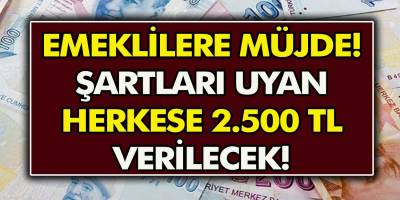 Emekli Vatandaşlara Büyük Müjde: Şartları Sağlayan Herkese 2500 TL Ödenecek!