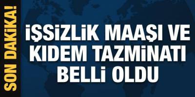 2022 Asgari ücret Fiyatları belli oldu! Son Dakika Engelli ve işsizlik aylıklarına ne kadar olacak?