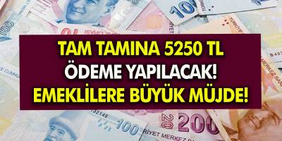 Emeklilere 5 bin 250 TL ek ödeme yapılacak! Bugün hesaplara yatırılacak! Hemen Başvurun!