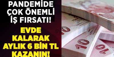 Evde çalışarak para kazanmak mümkün mü? İşte İŞKUR'un evden çalışarak 6 bin liraya kadar para kazanabileceğiniz iş fırsatı!