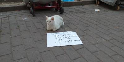 Şok itiraf: Dilenmek için her gün Erzincan’dan Erzurum’a geliyor