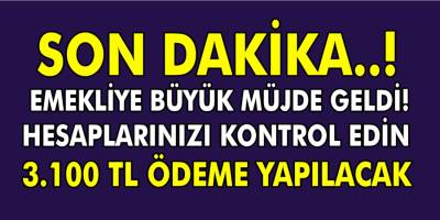 SSK SGK ve Bağ-Kur emeklilerine müjde geldi! 3.100 TL ödeme yapılıyor! Hemen Başvurunuzu Yapın!