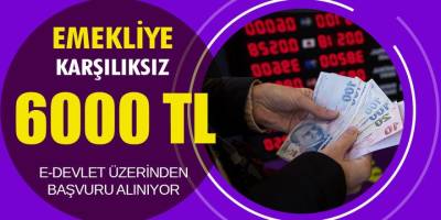 SSK'lı, Bağ-Kur'lu, Emekli Sandığı Emeklilere Karşılıksız 6 bin TL! E-Devlet Üzerinden Başvurabilirsiniz...