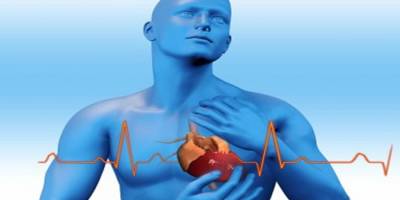 Kalp Çarpıntısı Nedir? Çarpıntı ve Ritim Bozuklukları Neden Olur?