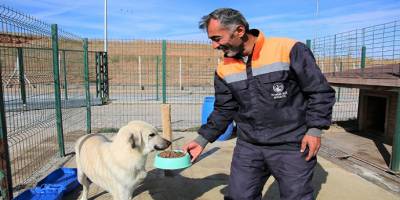 Hayvan barınağı Koronavirüs'e karşı ziyaretlere kapatıldı