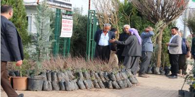 Türkiye’de Antep fıstığı savaşı kızıştı