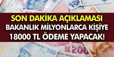 Bakanlık harekete geçti! ihtiyaç sahiplerine 18 ay 18000 TL destek ödemesi yapacak! Şartı uyan herkes alabilecek!