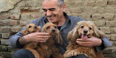 Elazığ'daki depremzedenin köpek sevgisi, onlardan ayıramıyor