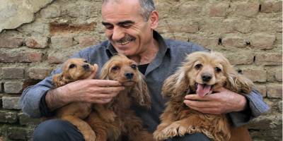 Elazığ’da Depremzedenin köpek sevgisi, onlardan ayrılamıyor