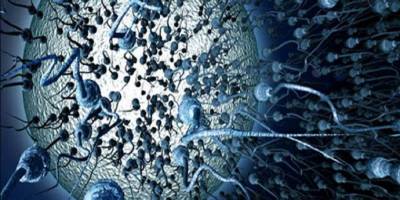 Azospermi (Azoospermi) Nedir ve Nasıl Tedavi Edilir?