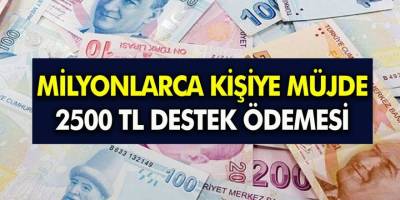 Hane başına 2.500 TL parası ödemeleri başladı! Aileden bir kişi başvursa yeter: PTT'den ödemenizi alabilirsiniz!
