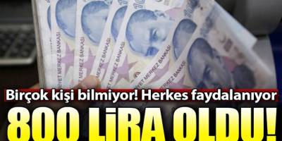 800 lira oldu! Devlet yardımları neler, nasıl alınır?