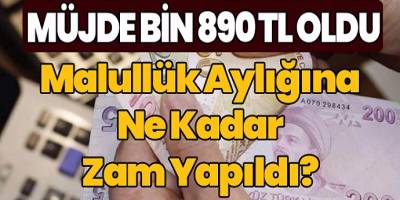 Kimler Malullük Maaşı Alabilir Malullük Aylığı Maaşına Ne Kadar Zam Yapıldı?