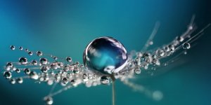 Ücretsiz Su Falı ve İsim Falı