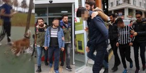 Kediyi Köpeklerine Parçalattıran 3 Cani Yakalandı!