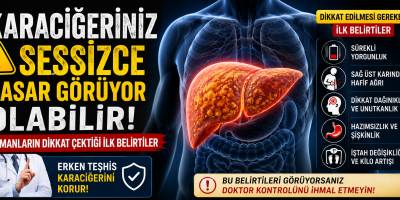 Karaciğeriniz Sessizce Hasar Görüyor Olabilir! Uzmanların Dikkat Çektiği İlk Belirtiler