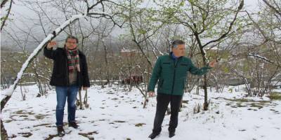 Fındık üreticilerini rahatlatan açıklama: don vakasına rastlamadık