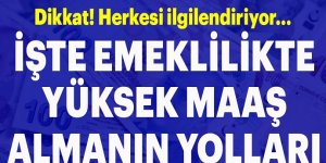 Emekli Maaşı Yükseltmenin Püf Noktaları!