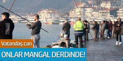 Vatandaşın sağlığını hiçe saydılar! Vatandaş can derdinde onlar mangal derdinde