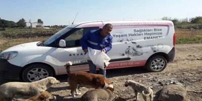 Virüs nedeniyle aç kalan sokak hayvanlarını unutmadılar