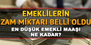 Emekli maaşı ne kadar olacak? İşte Ocak zammı ve detayları