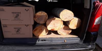 Ağaç kesen esnafa Toroslar Belediyesi'nden para cezası