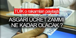 TÜİK Asgari Ücret rakamlarını Paylaştı