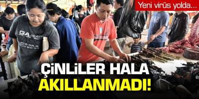 Çinliler hala akıllanmadı! Vahşi hayvan pazarları tekrar açıldı