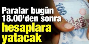 Bakan müjdeyi verdi hesaplara yatacak