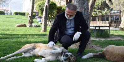 Manisa Büyükşehir Belediyesi sokak hayvanlarını unutmuyor