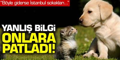 Yanlış korona virüs bilgisi sokak hayvanlarını vurdu!