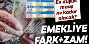 Emekli maaşları ne kadar olacak? En düşük memur maaşı ne kadar olacak?