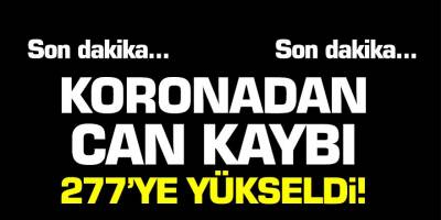Son dakika! Bakan koca açıkladı korona virüsten ölenlerin sayısı 277'ye yükseldi