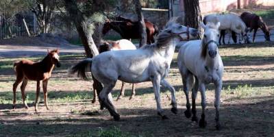 Ruam Nedir? Ruam Hastalığı Belirtileri Nelerdir?