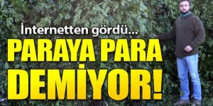İnternette gördü, şimdi paraya para demiyor