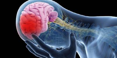 İnme(Felç) Belirti ve tedavi yöntemleri nelerdir?