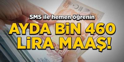 SMS'le Aylık 1.460 TL Ödeme Nasıl Alınır? Nasıl Başvuru Yapılır?