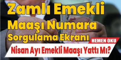 Nisan Ayı Emekli Maaşı Yattı Mı? Zamlı Emekli Maaşı Numara Sorgulama Ekranı