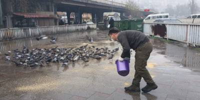 Zonguldak'da Yaban hayvanlar unutulmadı