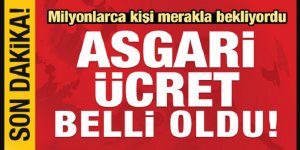 2020 Asgari ücret zammı belli oldu! 2020 AGİ ne kadar oldu? İşte asgari ücret tablosu 2020