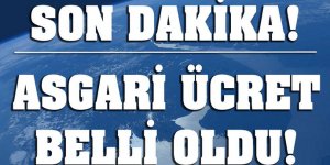 2020 Asgari ücret belli oldu! 2020 AGİ ne kadar oldu? İşte 2020 asgari ücret tablosu