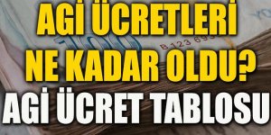 AGİ hesaplama tablosu açıklandı! Evli ve eşi çalışmayan sigortalı için AGİ ne kadar?