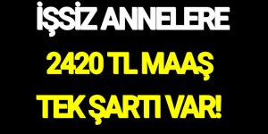 Çalışmayan Kadınlar İçin Devletten Aylık Maaş Müjdesi!