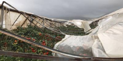 Antalya'da gece 3'e kadar nöbet tutup sabah seranın yıkıldığını gördü