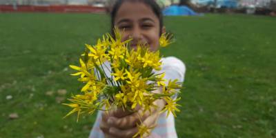 Yılın büyük bölümünü kar altında geçiren Bitlis'te baharın müjdesi çiçekler oldu