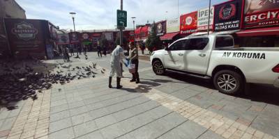 Doğa Koruma Şube Müdürlüğü şehrin çeşitli yerlerine yem bıraktı