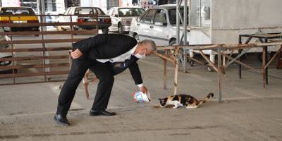 Dalaman Belediye Başkanı Karakuş sokak hayvanlarını elleriyle besledi