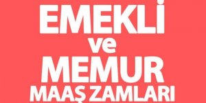 Memur ve memur emeklisi maaş zammı için geri sayım! Zamlı memur ve emekli maaşları ne kadar olacak? İşte Ayrıntılar